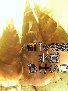 簡単 たけのこ 茹で方 下処理 保存-レシピのメイン写真