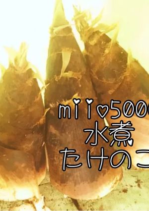 簡単 たけのこ 茹で方 下処理 保存-レシピのメイン写真