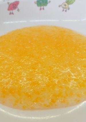【離乳食 初期】人参とかぶのとろとろ-レシピのメイン写真