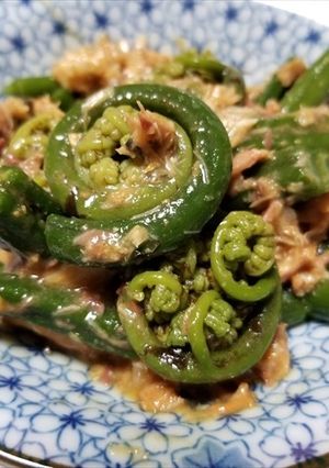 オニヒカゲワラビと鯖の味噌煮の和えもの-レシピのメイン写真