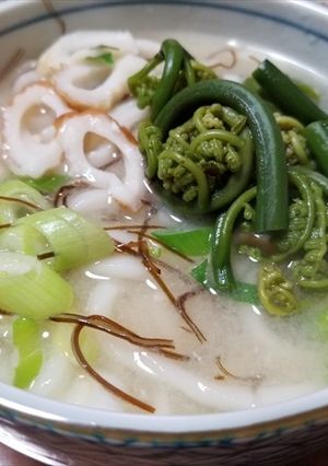 オニヒカゲワラビ入りの味噌味うどん-レシピのメイン写真