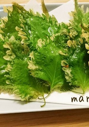 カラッと揚がる♪大葉の天ぷら-レシピのメイン写真