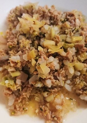 犬用＊牛挽肉雑炊-レシピのメイン写真