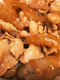 豚丼-レシピのメイン写真
