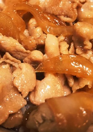 豚丼-レシピのメイン写真