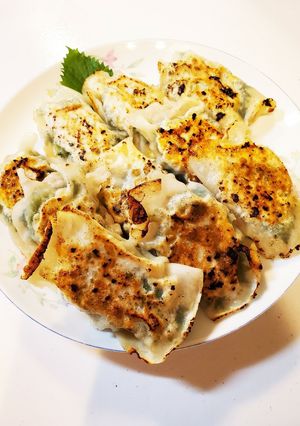 包まない大葉餃子♪-レシピのメイン写真