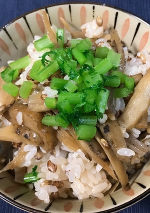 香りごんぼご飯-レシピのメイン写真