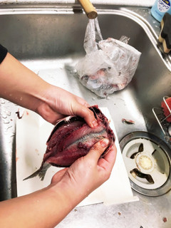 子供と魚をさばこう。イワシ編-レシピのメイン写真