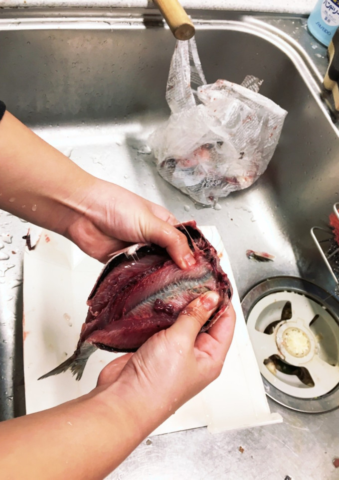 子供と魚をさばこう。イワシ編-レシピのメイン写真