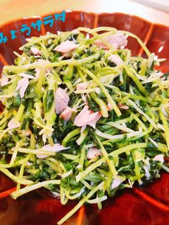 豆苗とツナの和え物-レシピのメイン写真