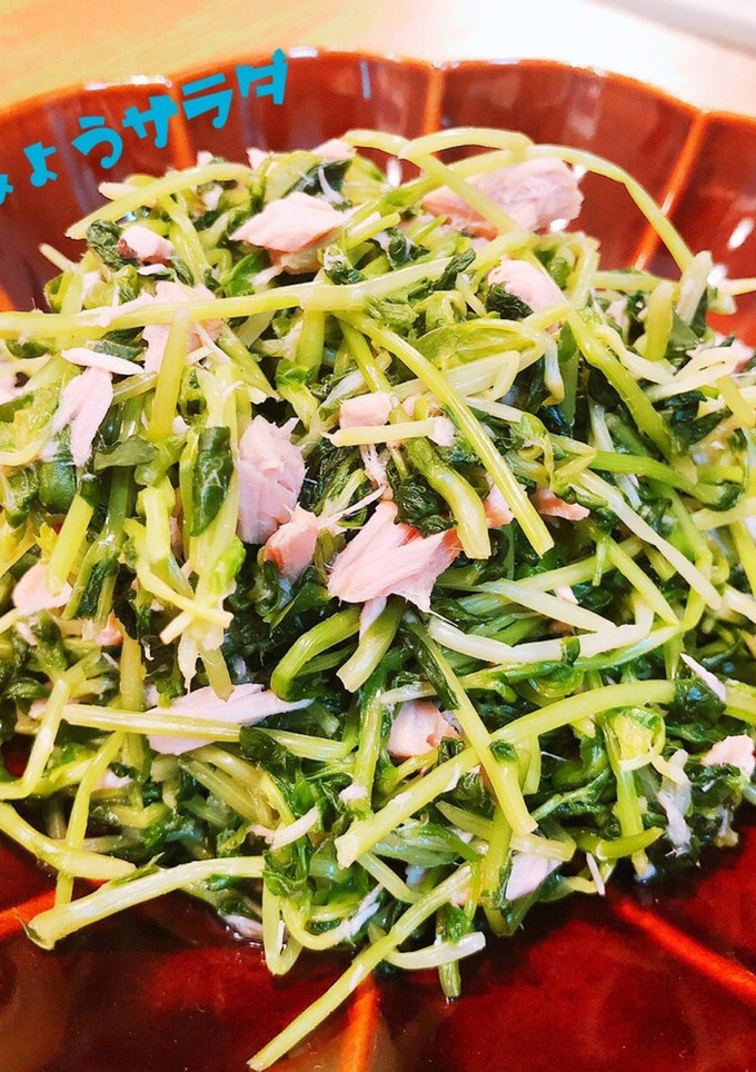 豆苗とツナの和え物-レシピのメイン写真
