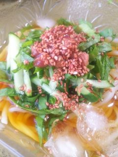 さっぱり冷やしうどん-レシピのメイン写真