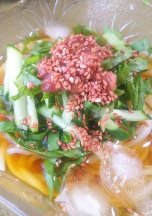 さっぱり冷やしうどん-レシピのメイン写真
