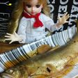 リカちゃん♡鮎の甘露煮。.:✤*゜