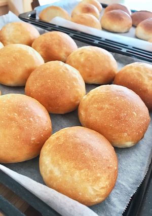 こねるのはHBまかせの簡単丸パン-レシピのメイン写真