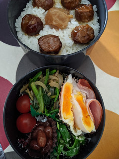 ミートボールとハムエッグのお弁当-レシピのメイン写真