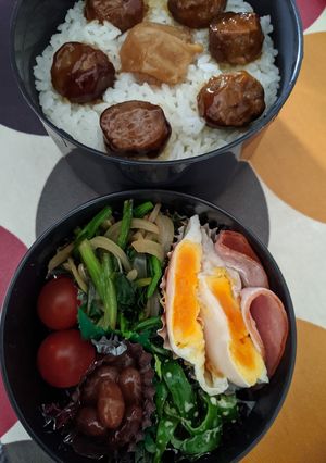 ミートボールとハムエッグのお弁当-レシピのメイン写真
