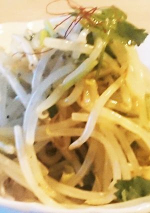 パクチーとモヤシのエスニックサラダ-レシピのメイン写真