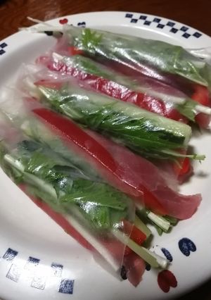 生春巻き～スイチリ-レシピのメイン写真