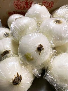玉ねぎ・新玉ねぎの保存方法-レシピのメイン写真