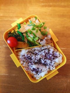 焼き肉弁当-レシピのメイン写真