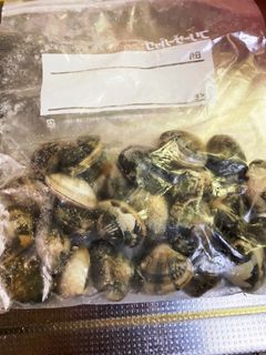 あさり砂抜き、冷凍-レシピのメイン写真