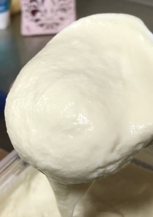 カスピ海ヨーグルトで豆乳おからヨーグルト-レシピのメイン写真