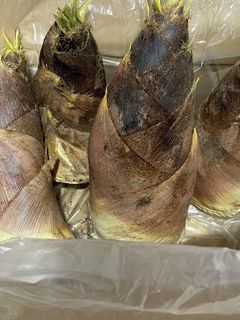 ●母直伝●生の筍、下処理〜茹で方-レシピのメイン写真