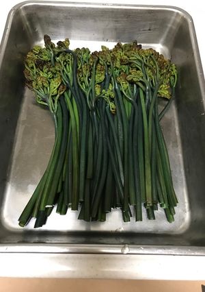 わらびのアク抜き-レシピのメイン写真