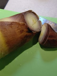 筍の美味しい茹で方と、たけのこ料理-レシピのメイン写真