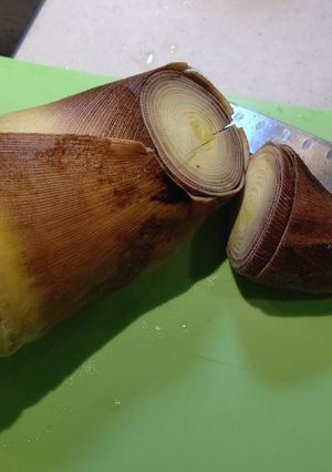 筍の美味しい茹で方と、たけのこ料理-レシピのメイン写真