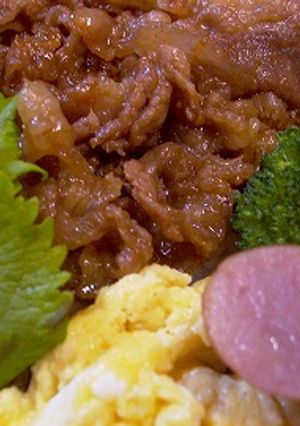簡略版 豚のしょうが焼き-レシピのメイン写真