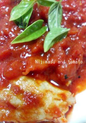 ニジマスのトマト煮-レシピのメイン写真