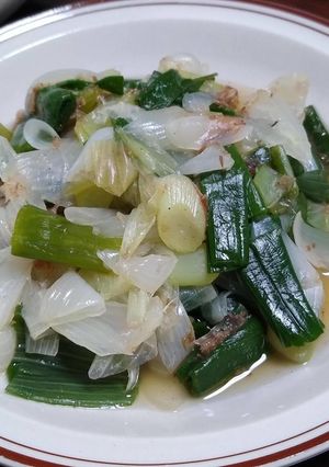 葉玉ねぎのおひたし-レシピのメイン写真