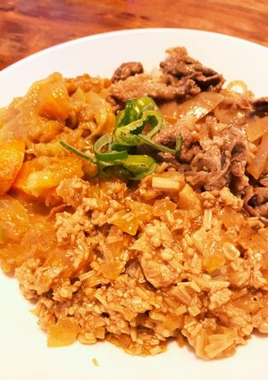 簡単☆究極の3色…いや、1色丼!?-レシピのメイン写真