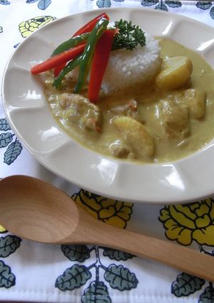 とろけるココナッツカレー-レシピのメイン写真