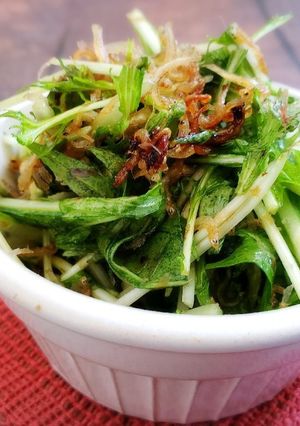 香ばしじゃこと水菜のおかかサラダ-レシピのメイン写真