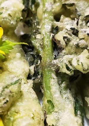 お年寄り絶讚シリーズ‼️たらの芽‼️-レシピのメイン写真