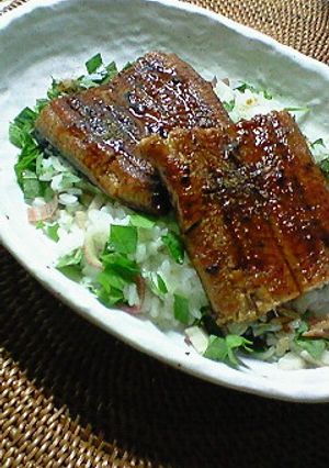 薬味たっぷり♪さっぱりふっくらなうな丼-レシピのメイン写真