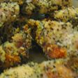 チキンの簡単ハーブ焼き