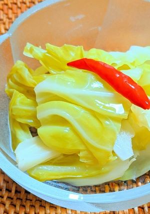 キャベツのピクルス-レシピのメイン写真