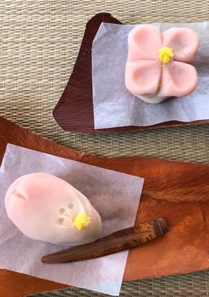 初めての練り切り/和菓子/電子レンジ無し-レシピのメイン写真