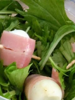 水菜と大葉のさっぱりサラダ☆-レシピのメイン写真