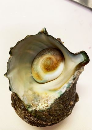 サザエの身の取り出し方-レシピのメイン写真