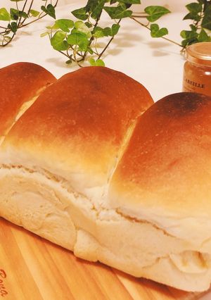 簡単ふわふわ手ごね食パン♪パウンド型-レシピのメイン写真