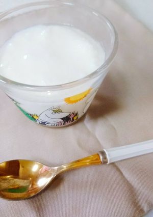 手作りヨーグルト♪インフル予防にも-レシピのメイン写真