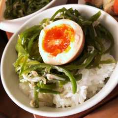 ピーマンしらす(煮卵丼)-レシピのメイン写真