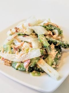 ゴーヤと白菜のツナサラダ-レシピのメイン写真