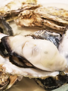 レンジで5分のみ!牡蠣の酒蒸し-レシピのメイン写真