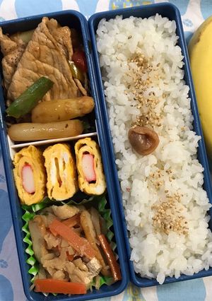 20200423マイ弁当-レシピのメイン写真